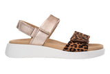 Ara Madeira 12-21401 Leopard/Rose Womens #color_prints-animal